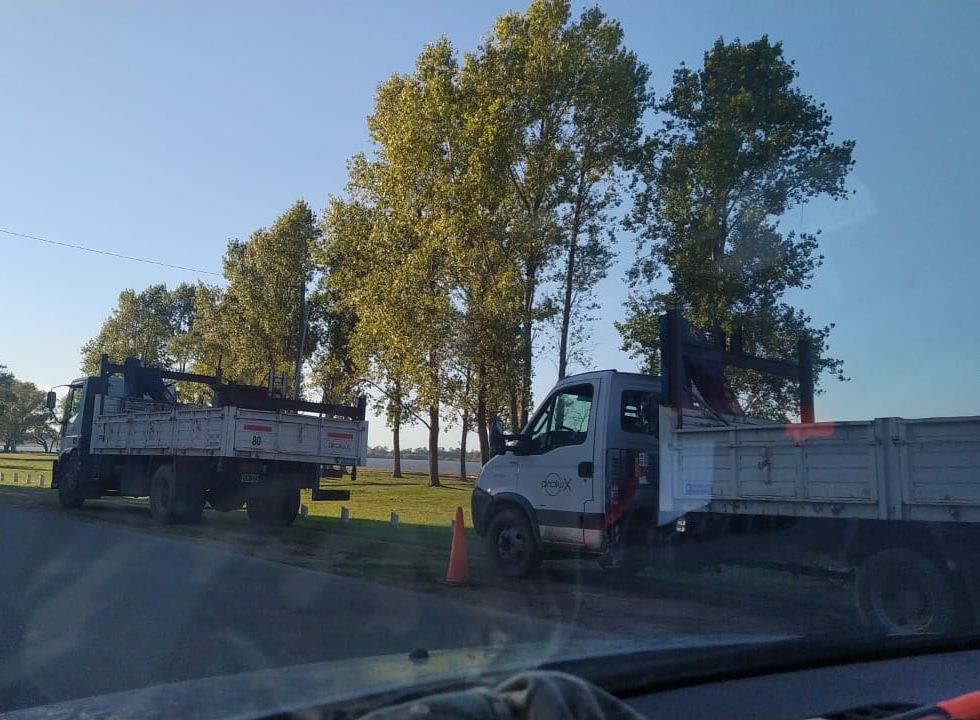 Dos camiones de Prolux estacionados junto a una arboleda